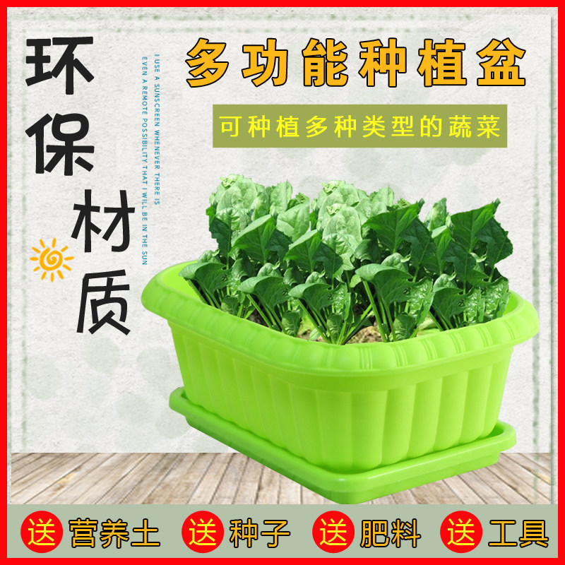 Vegetable pots balcony family vegetable planting pots rectangular indoor vegetable pots pots flower pots household vegetable pots