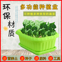 Planting pot balcony family vegetable planting pot rectangular indoor vegetable pot pot pot flower pot household vegetable pot