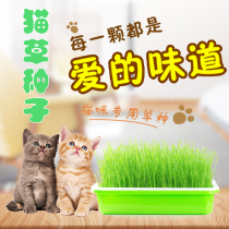 Cat grass hydroponic cat grass seed catnip planting set planting pot hydroponic box wheat grass kitten snack
