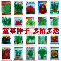 Vegetable seeds Four Seasons balcony planting tomato radish pepper Celery leek scallion flower potted soil vegetable