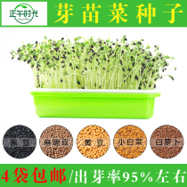 Sprouts vegetable seeds bean sprouts soybean sprouts pea radish cabbage soilless cultivation hydroponic vegetable seeds vegetable seeds