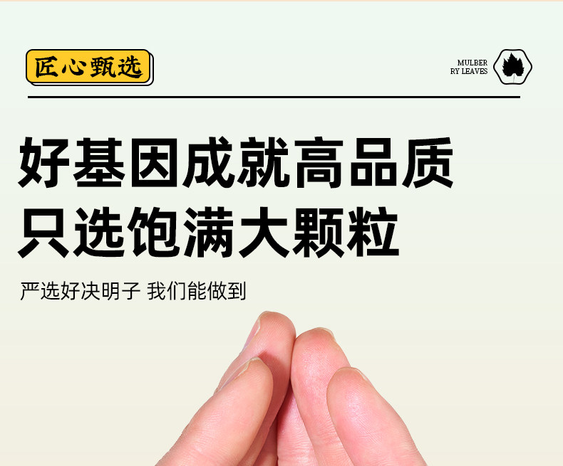 Premium Roasted Cassia Seed 500g Jue Ming Zi Herbal Tea Ingredient for Daily Brewing overview