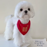 Слюнявчик, галстук-бабочка, нагрудник, шарф, красные свадебные туфли