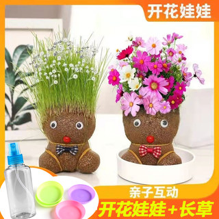 Blossom doll Green planting planting flower head grass head baby head long grass plant children's hair long flowers small potted plants