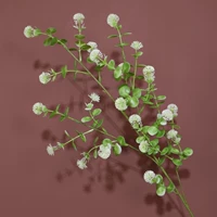 Dingla Fruit Green Оригинальный цвет