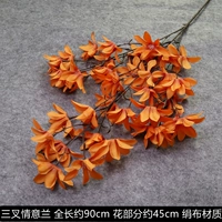 Фиолетовая любовь Lan-Orange