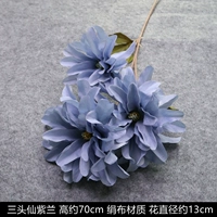 Фиолетовый орхидея-чонлан