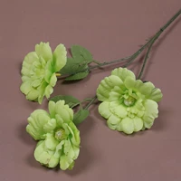 Шампанское 3 голова Фенгдана Грин