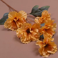 5 голов и половина летнего апельсина