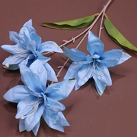 3 голова лили-синей