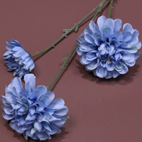 Бордовый, синий