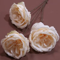 3 основных голова Остин-Хампаньон Цвет