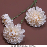 Оранжевый темный аромат-хампань