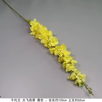 Gyeenpy Chitochida Yellow