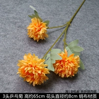 3 заголовка Chrysanthemum Orange