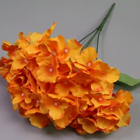 Положите пакет Hydrangea Orange