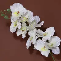 9 головой сложен