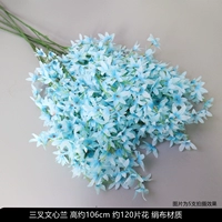 Вэнь Синьлан Блю