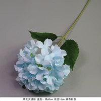 Оранжевый одиночный символ гидрангея-синий