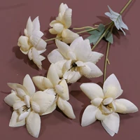 Синие 5 голов в цвете xi yan-champagne