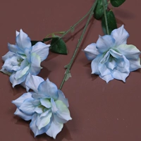 Темно-сероватый 3-головый Shukui светло-голубой