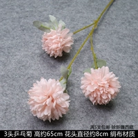 3 заголовка Chrysanthemum pink