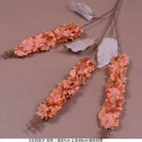 Гиацинт-оранжевый