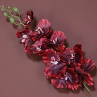 Складывается с 9 головой Phalaenopsis