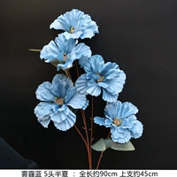 5 голов половины летних тума