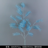 Шампанское цветное шифрование