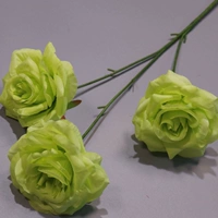 Молочный белый бриллиант роза безлистно-зеленый