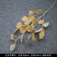 Шампанское цветовое вилочное вилка листья яблока