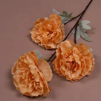 Синий 3 Hibiscus peony-Orange