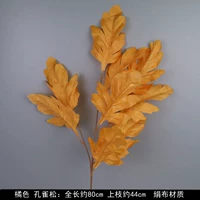 Светло -зеленый павлин оранжевый