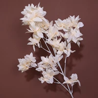 Потолочный лило-хампаньовый цвет