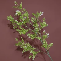 Два -Колора Милан Грава