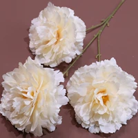 Шампанский цвет-новый головый пион