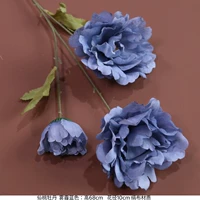 Оранжевый богатый пион-смог синий