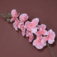 Складка с 9 головой