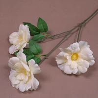 Светло-серый шампанский цвет-третий голод фенддан