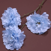 Светлый желтый 3 большой головы, новый пион-не-синий