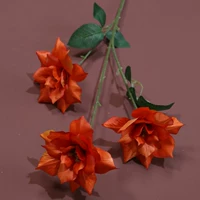 Озеро голубой 3-головый щип