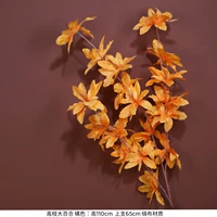 Гао Чжи Лили-Оран