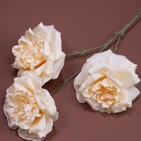 3 больших роз-хэмпаньовых цветов