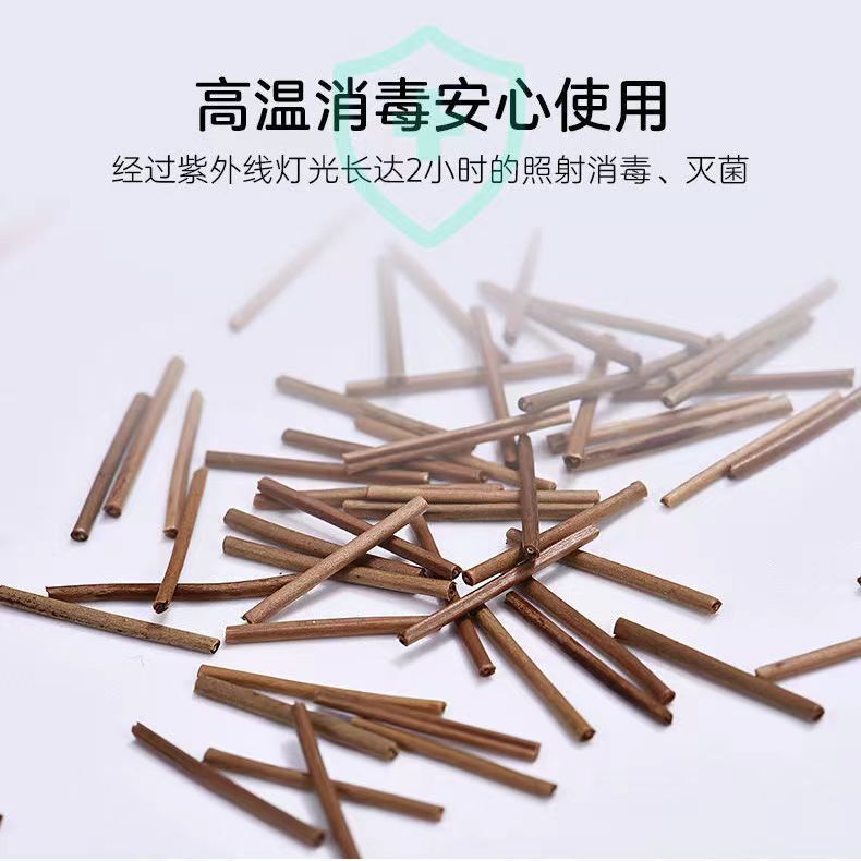 Natural Tea Stem Ear Sticks, Ear Studs, Ear Studs, Ear Piercing, Tea Ear Sticks, Female Tea Branches, Students Can Sleep Without Removing Them