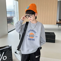 YB8708 Grey