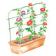 Arched flower stand climbing pergola iron wire telescopic flower shed bracket small potted flower stand ດອກໄມ້ຂະຫນາດນ້ອຍ shed wire pot pergola