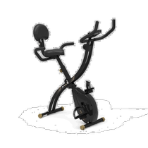 South Korea Direct Mail Egojin Universal Fitness Bike