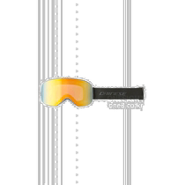 Korean direct mail dainese universal sunglasses