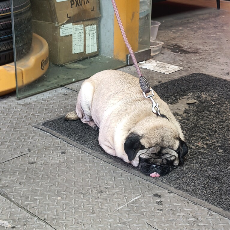 善一的文具小店企业店